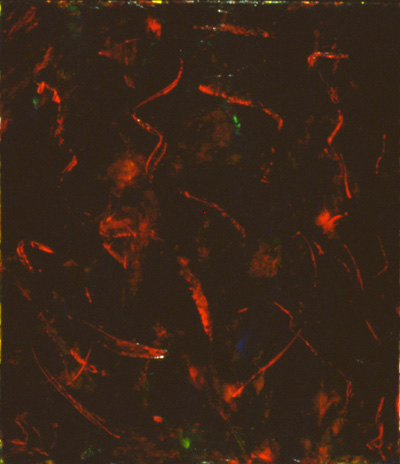 The Emergence of What Lies Within